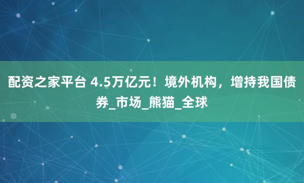 配资之家平台 4.5万亿元！境外机构，增持我国债券_市场_熊猫_全球