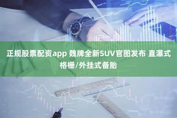 正规股票配资app 魏牌全新SUV官图发布 直瀑式格栅/外挂式备胎